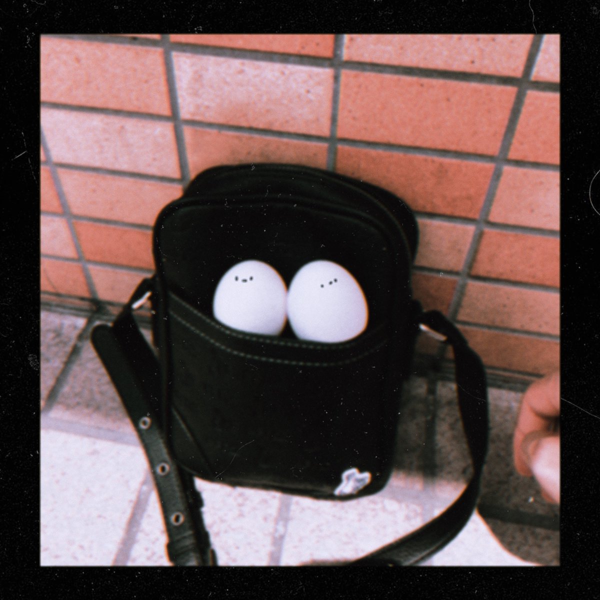 OrYallll's tweet photo. たまご拾ったお https://t.co/WPghSWjqeR