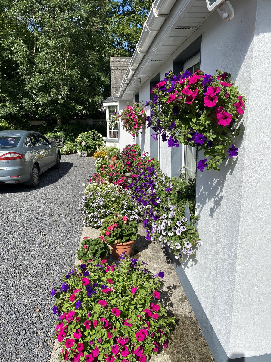 Dr John Dempsey ⛳️🔬 tweet media