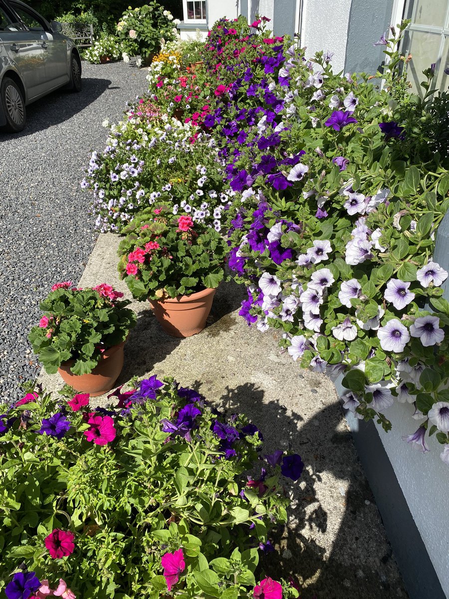 Dr John Dempsey ⛳️🔬 tweet media