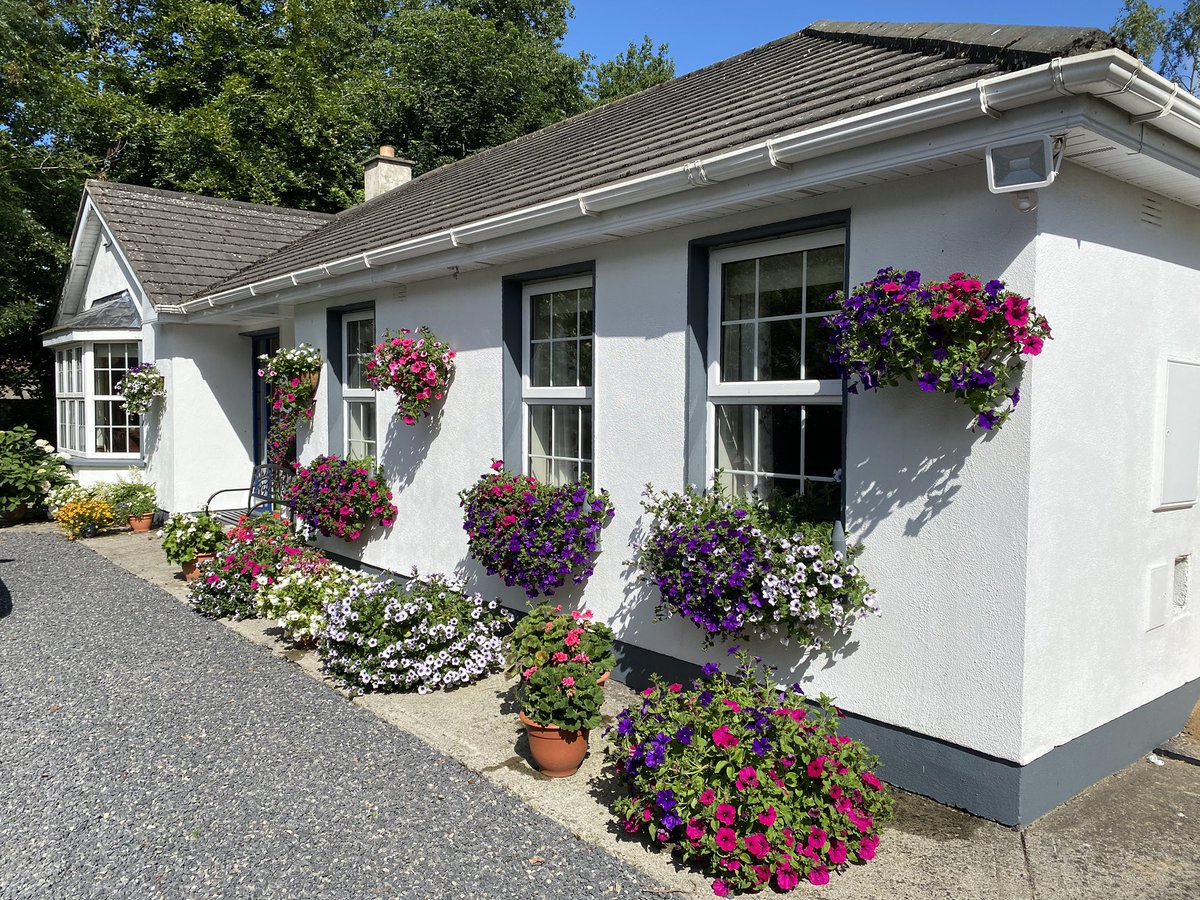 Dr John Dempsey ⛳️🔬 tweet media