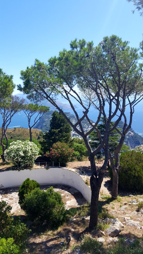 PetrelliFlavia's tweet photo. Dal #MonteSolaro la costiera sorrentina https://t.co/mhlnk9fHka