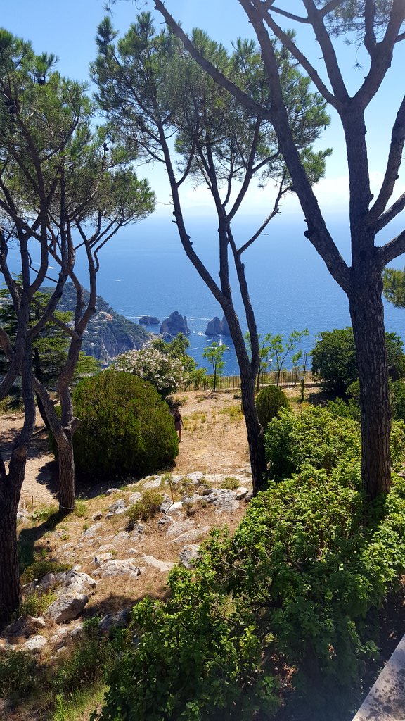 PetrelliFlavia's tweet photo. I faraglioni dal #MonteSolaro https://t.co/gFrgsNgy75