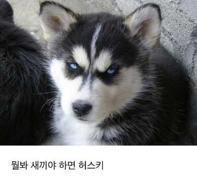 zhan_gg's tweet photo. 띄. 하면                               뚜야아~♡ 하면
다른 사람                                  샤오쟌 https://t.co/JF4VMtNwxT