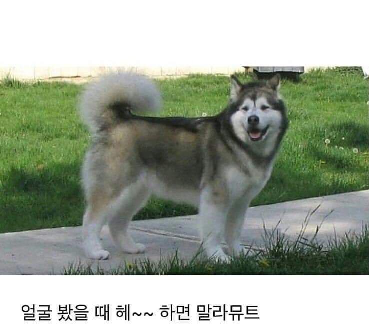 zhan_gg's tweet photo. 띄. 하면                               뚜야아~♡ 하면
다른 사람                                  샤오쟌 https://t.co/JF4VMtNwxT