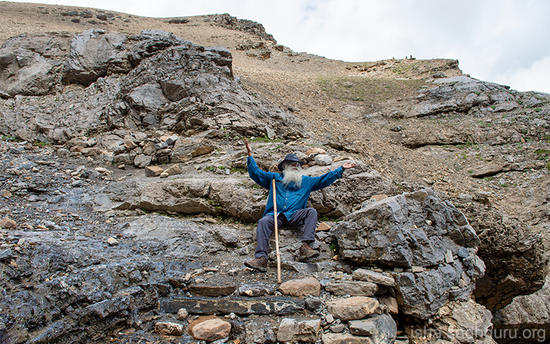 SadhguruJV's tweet photo. Being alive is the most significant phenomenon, not just on this planet, but in the whole cosmos. #SadhguruQuotes https://t.co/ERy6fIDN6x