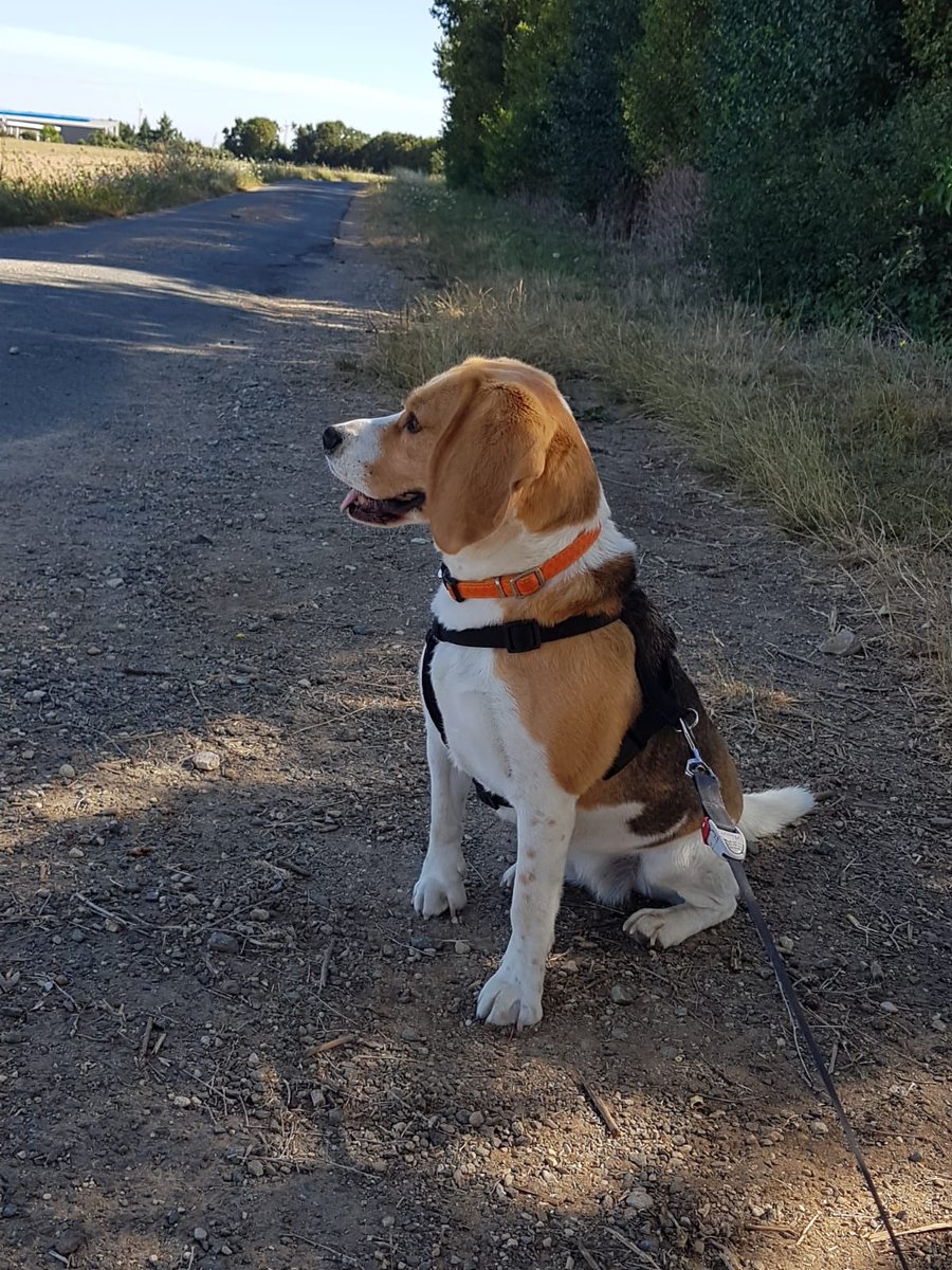 Admiring the landscape