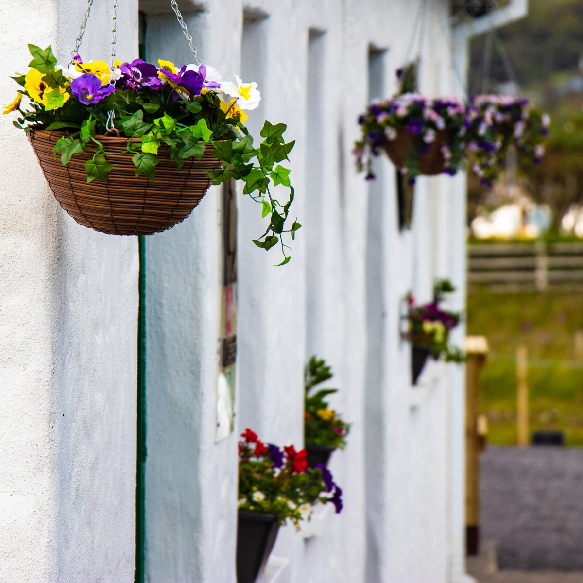 slieveleague_'s tweet photo. A warm welcome awaits at Ti Linn Cafe & Gift Shop! Open from 10am - 6pm. Sit in or Takeaway 💚
#SlieveLeague #TiLinn #IrishCafe https://t.co/wb8zODktiL