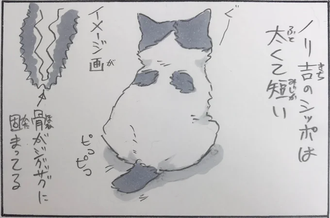 『ノリ吉のシッポ』 