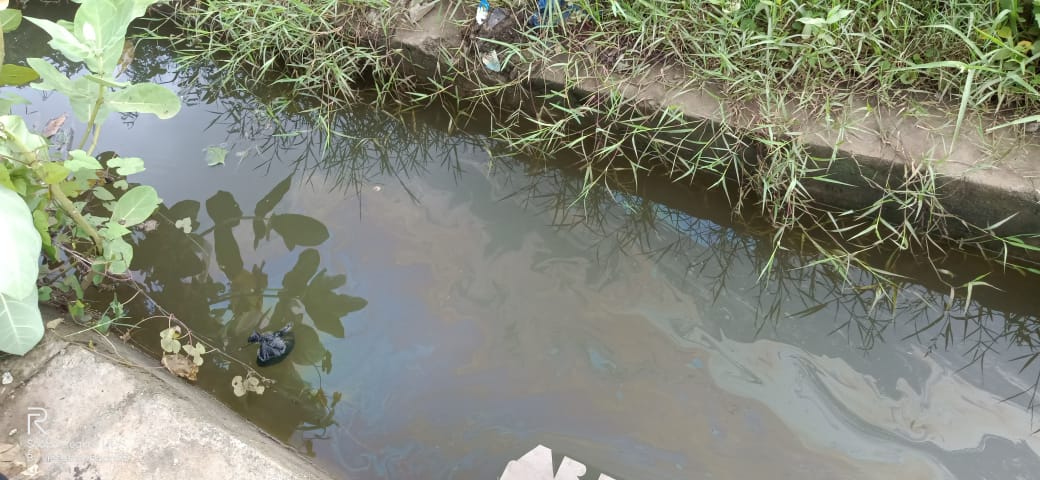 SeethaTRS's tweet photo. As per Hon’ble Minister Sri @KTRTRS Garu, call to eradicate seasonal diseases,
continued cleanliness drive for the 11th week. At 12 ward & 6th ward.
Oil balls have been released in stagnant water places.
#EverySunday10minutesat10am #CleanDriveOnSundays #10minutesat10am #11thWeek https://t.co/C5QVzikCPV