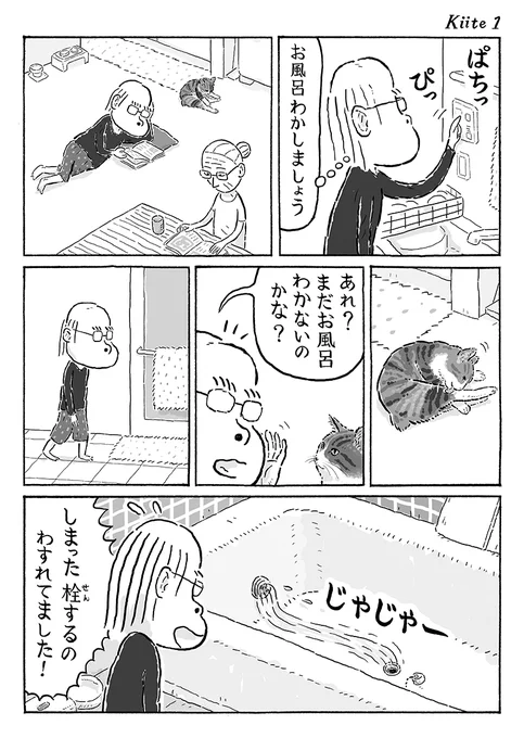 2ページ猫漫画「聞いて聞いて」 #猫の菊ちゃん 