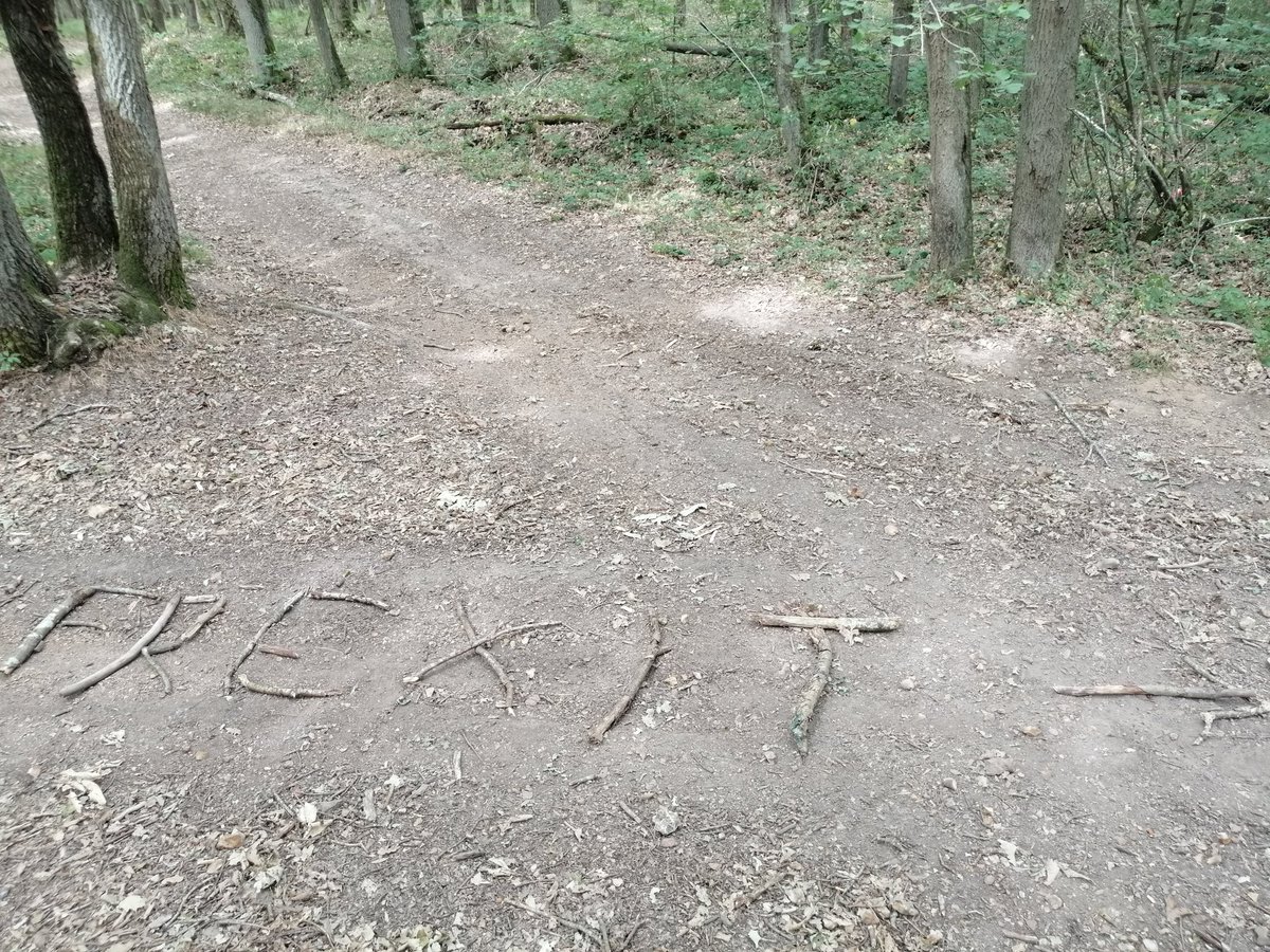 GorzelanczykB's tweet photo. @CitoyensFrexit , aidez-moi!
Je me suis perdu en footing dans les bois et j'ai 3 chemins possibles.

#Frexitchallenge https://t.co/CquMMiZgAL