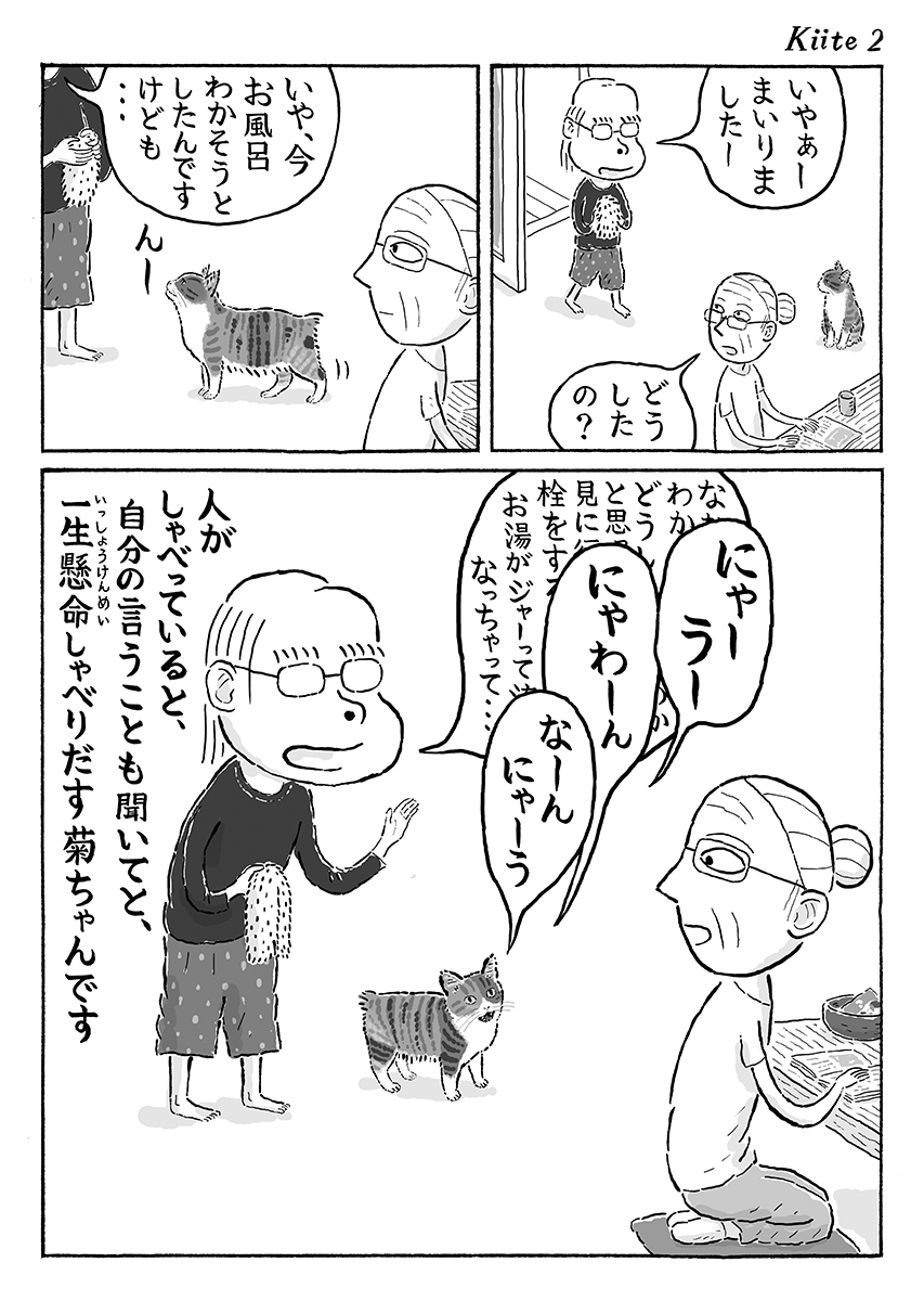 2ページ猫漫画「聞いて聞いて」 #猫の菊ちゃん 