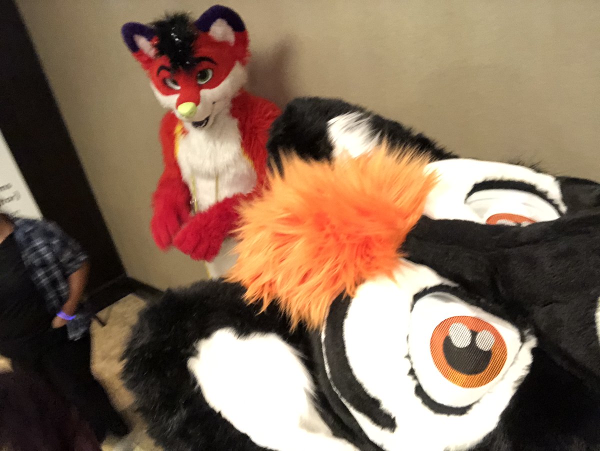 my brother and me!

#FursuitFriday 
#TarouGang #TallGang