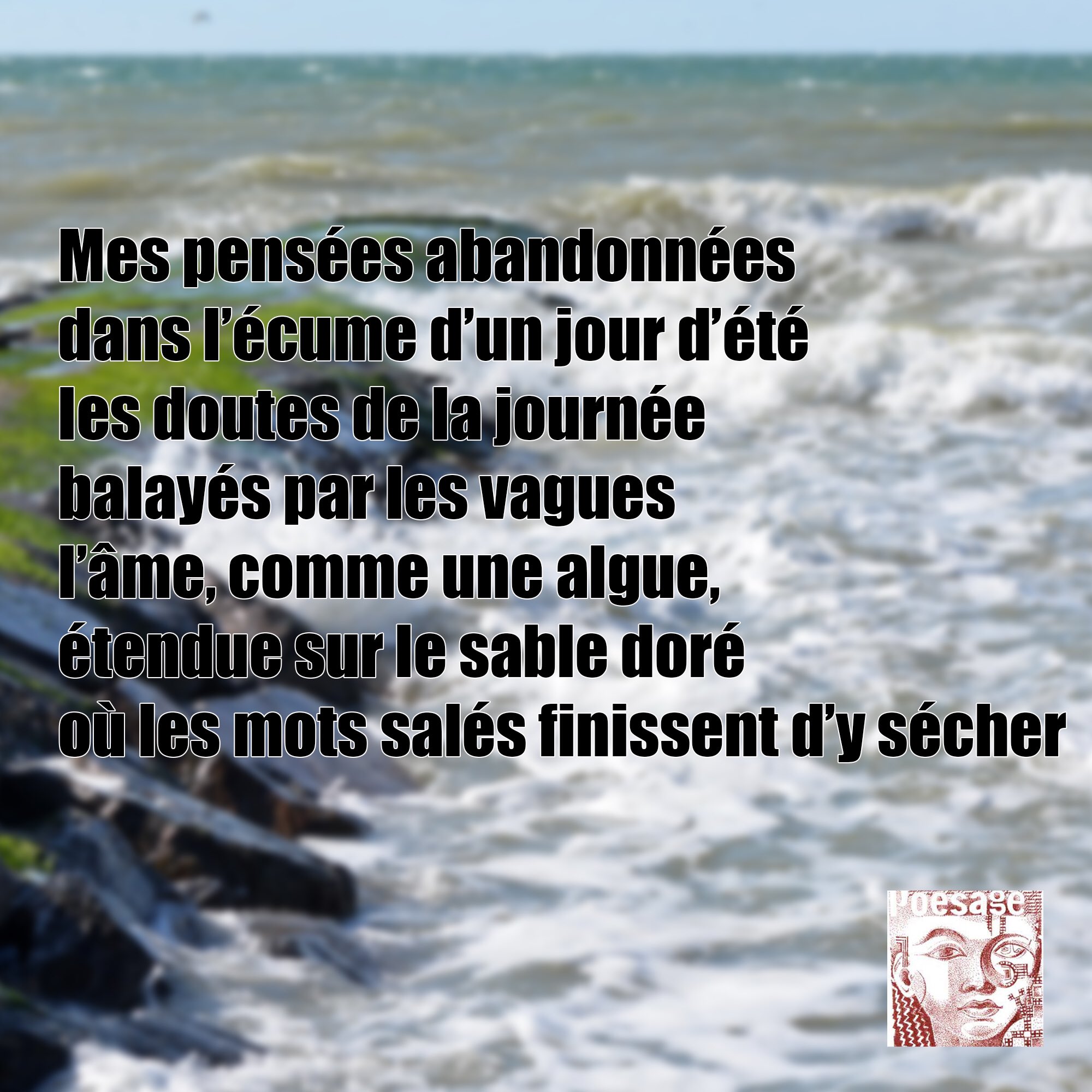 Stephane Potdevin Stefpo Twitter