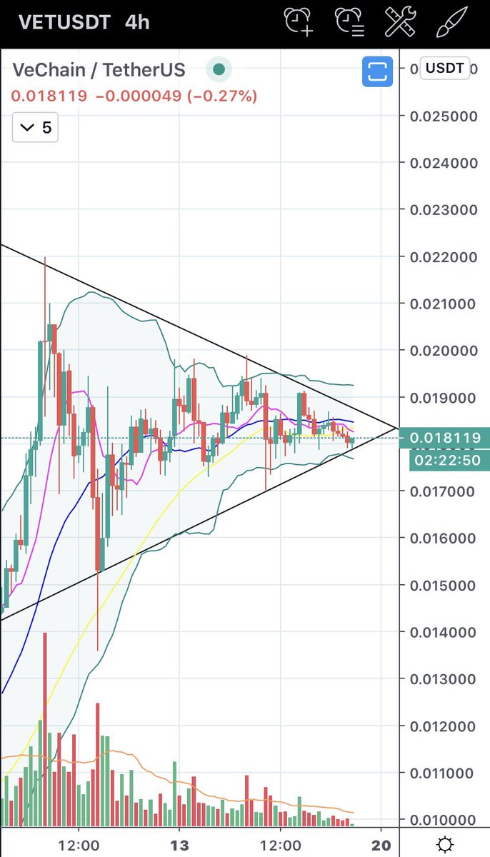 CryptoThurst's tweet photo. $vet $vtho $oce #FeFam

?👀? https://t.co/gYZraIDR4M