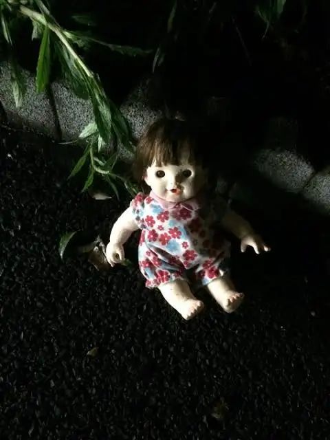 ホラー 注意 以前からぽぽちゃんの目になんだか違和感があったが その正体に気付き震える人々 捕食者の目 もう直視できない Togetter ホラー 注意 以前からぽぽちゃんの目になんだか違和感があったが その正体に気付き震える人々 捕食者の目 もう直視できない Togetter