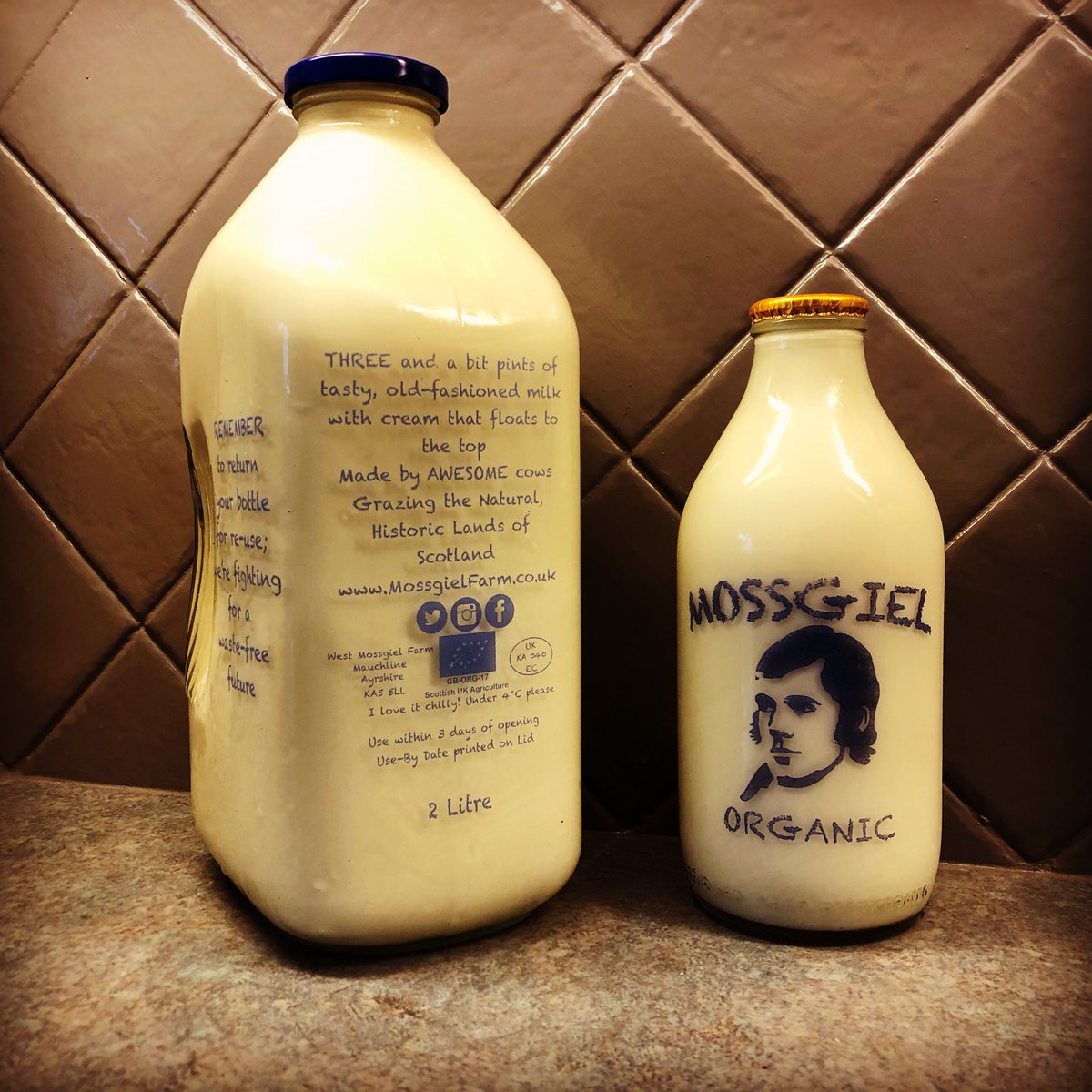 MossgielFarm's tweet photo. CRAFT BREWED milk in 100% single-use-plastic-free packaging from small, organic family farms - with a gold option that keeps cows and calves together
.
You could say we’re trying to change how we all buy milk...
.
.
.
.
.
#PlasticFreeFuture #Organic #CreamTop #MossgielFarm https://t.co/iNF2S9qwjo