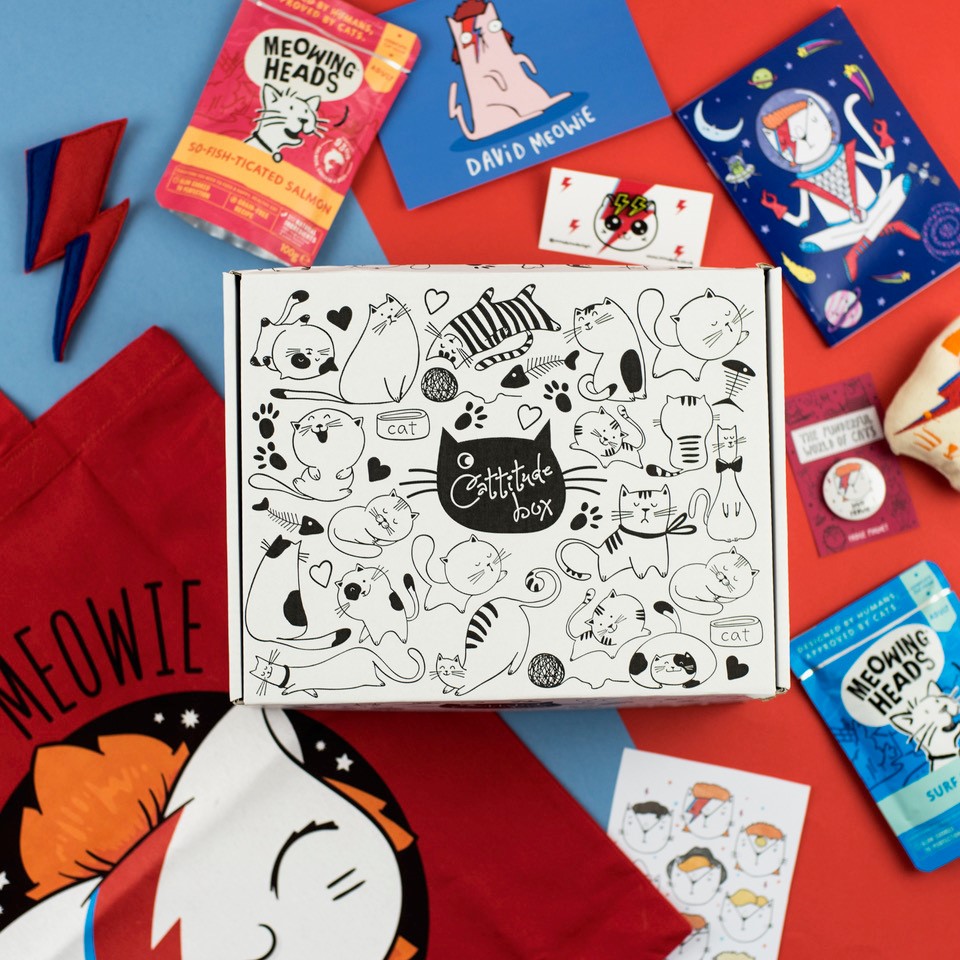 YourCatmagazine's tweet photo. We managed to get our paws on one of the David Bowie inspired #CattitudeBox before they were sold out everywhere. Don't miss out on your chance to #win... https://t.co/HHDoJZvQIq https://t.co/DCREifYrAH
