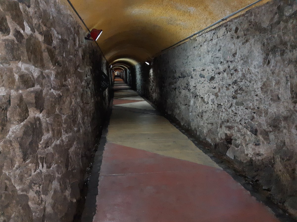 Olguitaa_Marina's tweet photo. Cuando entré por primera vez en este ascensor lo primero que se me vino a la mente fue #ElDiaMenosPensadoTVN 😆😆...🤦♀️🤦♀️
#AscensorPolanco
#Valparaíso https://t.co/39LzfUoDQx