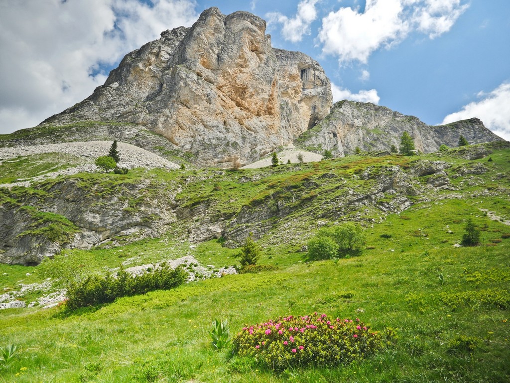 ledevoluy's tweet image. "𝑱𝒆 𝒄𝒓𝒐𝒚𝒂𝒊𝒔 𝒄𝒐𝒏𝒏𝒂î𝒕𝒓𝒆 𝒍𝒆 𝑫é𝒗𝒐𝒍𝒖𝒚 : 𝒋𝒆 𝒎𝒆 𝒕𝒓𝒐𝒎𝒑𝒂𝒊𝒔"
Les vallons de Bure invitent le randonneur à pousser la porte d’un univers qu’on aurait juré réservé aux experts. Et pourtant…
📸 Carnets de Rando
👉🏻 bit.ly/398gwan
#devoluy