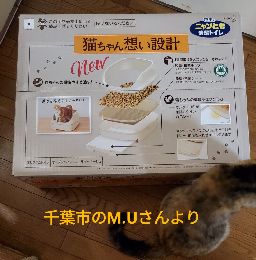 groupnyago's tweet photo. 本日、千葉市M.Uさんよりにゃんともトイレを頂きました。

3匹の子猫は無事保護ができ、ショコラさんと私の所で保護していますが、現状その子達の医療費が大変で、抱えてる猫達の消耗品に手が回らず、このように物資を助けて下さると本当にありがたく、感謝いたします。
誠にありがとうございました。 https://t.co/LFl1gVfAxL
