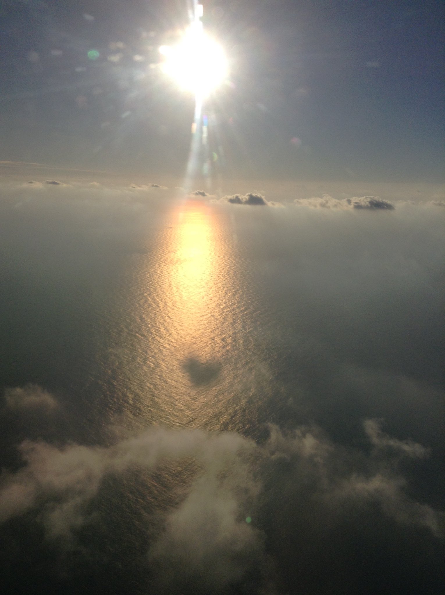 恋人と夫婦の違い Twitter Search Twitter