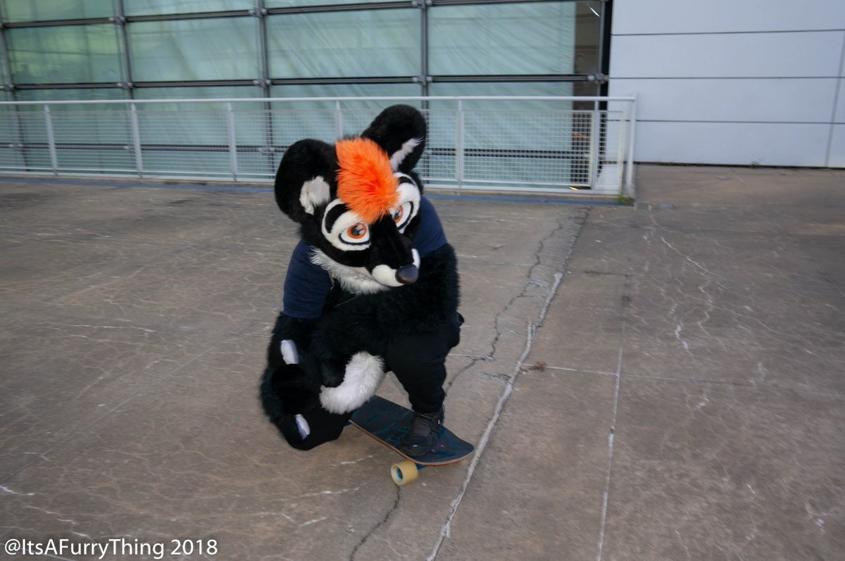 I'm a sk8r boi 🛹

📸: <a href="/ItsAFurryThing/">It's a Furry Thing!</a>
📍: Anthrocon 2018

#FursuitFriday