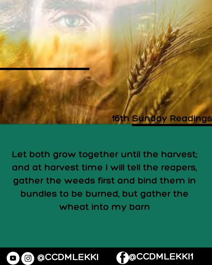 Ccdm Lekki On Twitter: "In Preparation For Mass, We Are Advised To Go  Through The Readings Of The Day Prior To The Mass. On This 16Th Sunday In  Ordinary Time, Jesus Shares