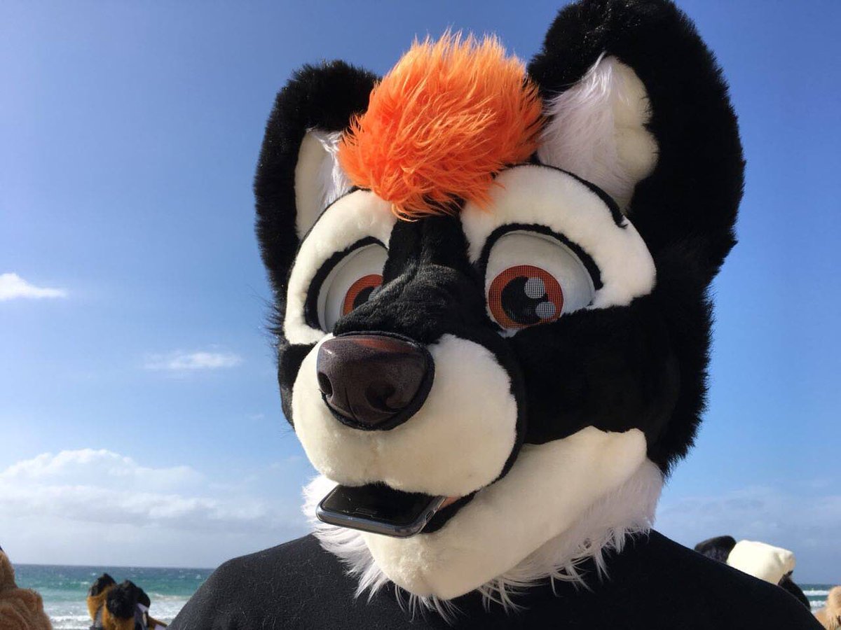 This phone is tasty. 📱  #FursuitFriday