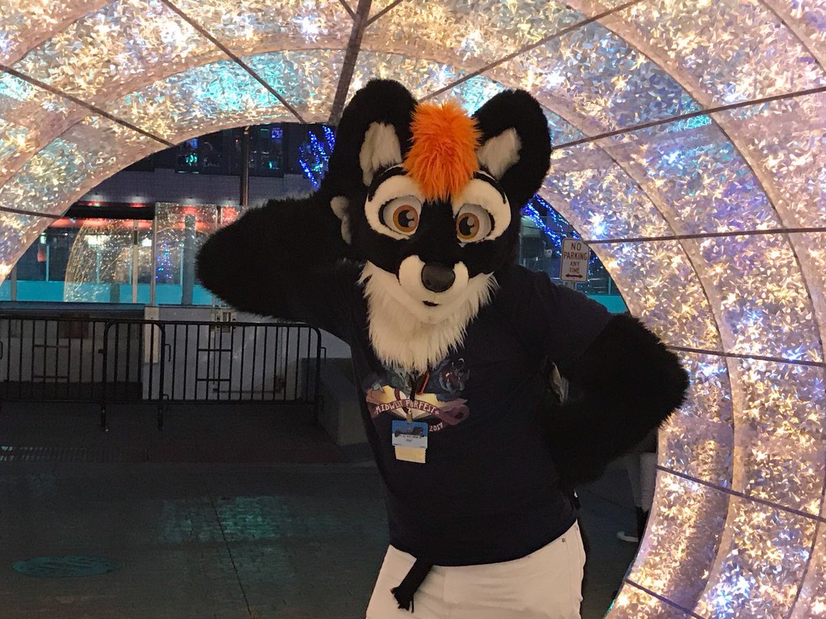 So pretty!! 💜

#FursuitFriday 
#MFF2017