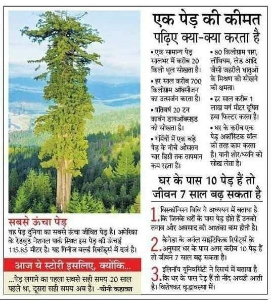 O2p2IN2020's tweet photo. #O2P2
#O2P2IN2020
#ONEPERSONONEPLANT
Kindly participate in this movement & aware others to plant minimum 1 tree.
@NoPrOmI82479845 @RAKESHJ02213940 @rahuljourno @AmitKellan @mahesh171186 @DChaurasia2312 @SadhguruJV @jk_rowling @JM_Scindia @itsSSR @RSSorg @kartik42664013 @AkcInsp https://t.co/EZDs3y7k8H