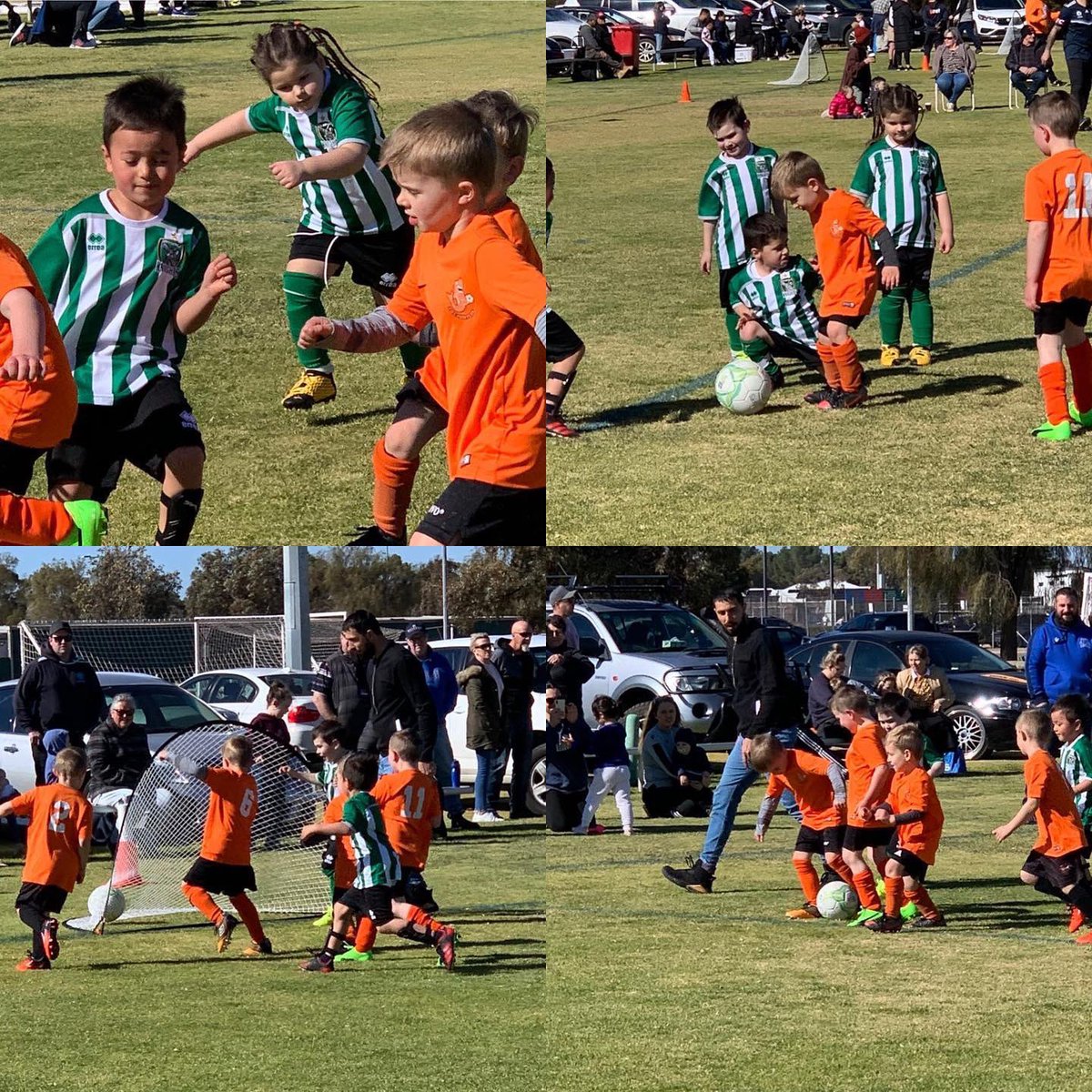 NicholsPointSC's tweet image. FFS J-LEAGUE ROUND 1

Under 6s

#gopointers