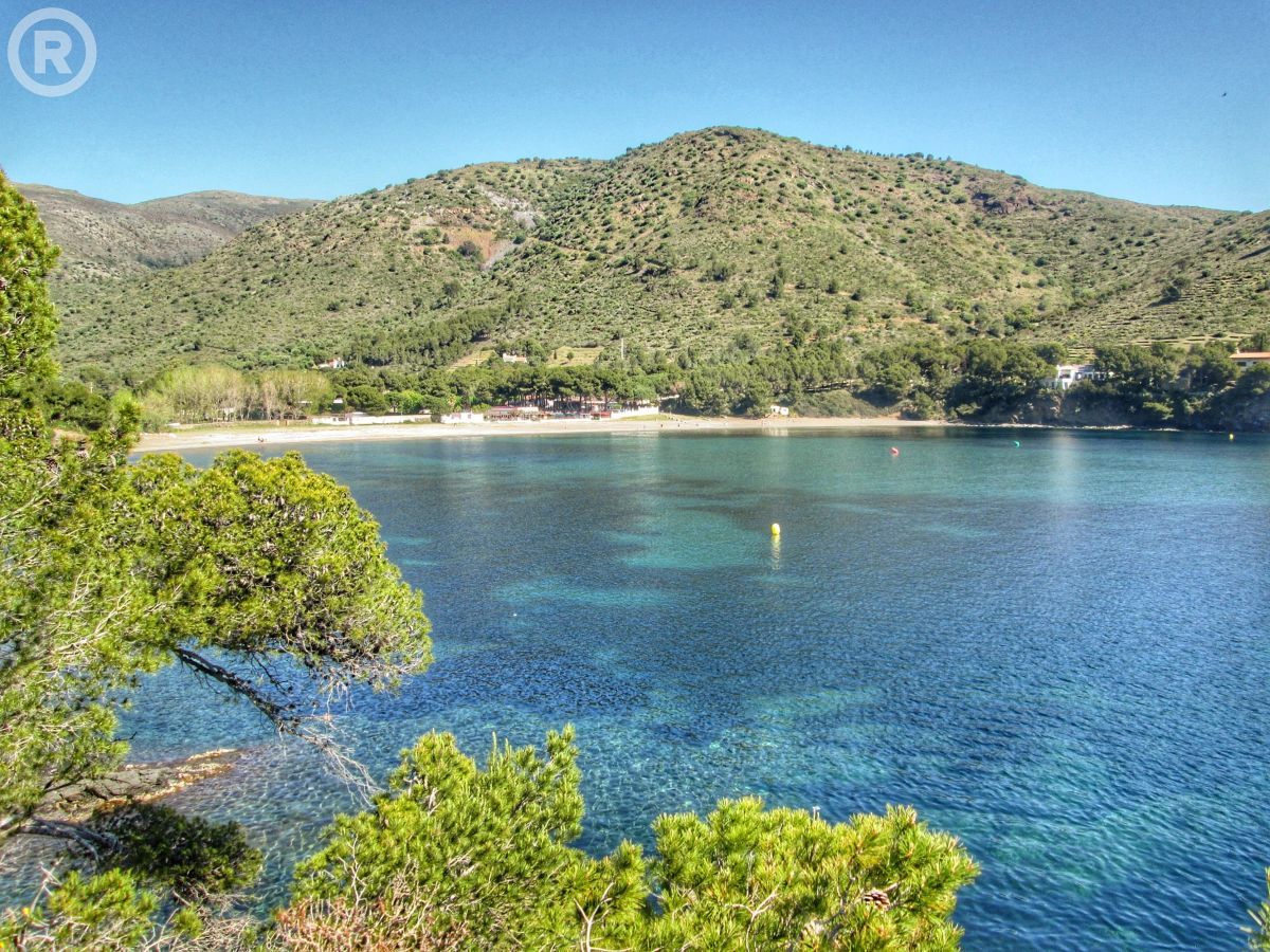 VisitRoses's tweet photo. We 💙💚 Cala Montjoi

@costabrava @badiaderoses @catexperience @ajroses @cami_de_ronda @naturalocal @terramarvisites @aempordaturisme @redcostabrava @empordalovers https://t.co/7adtQaqcup