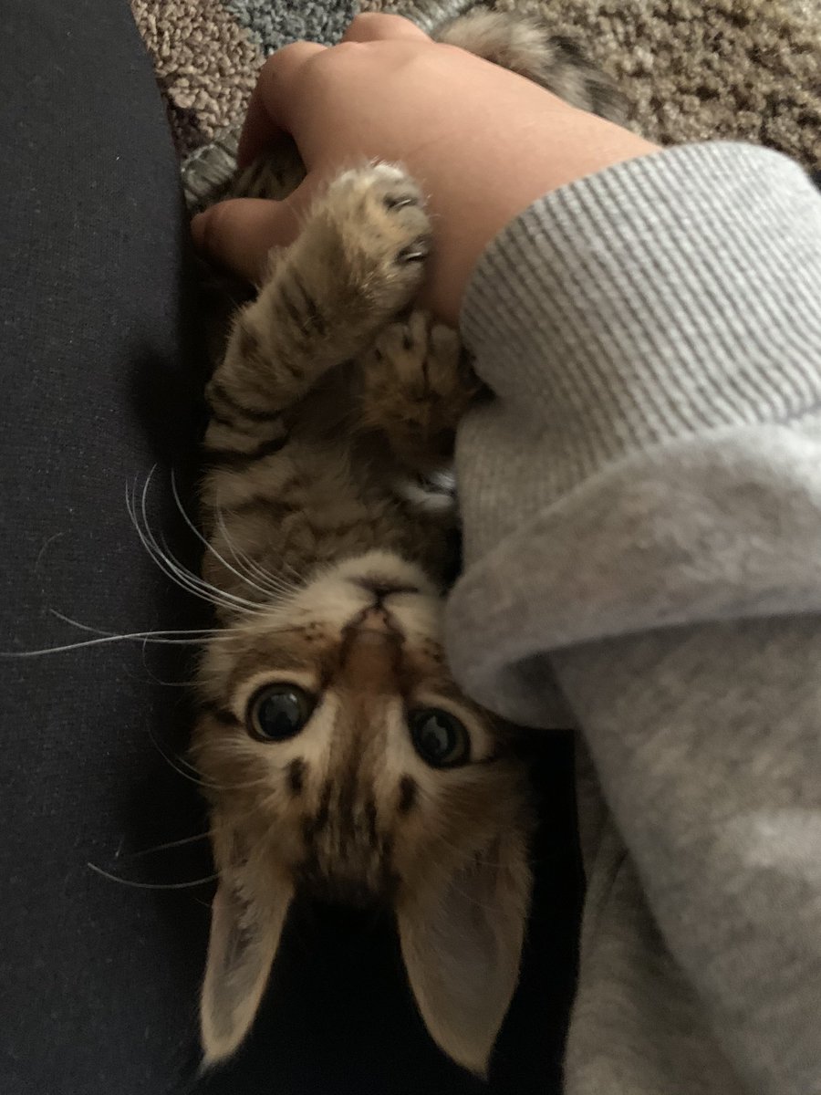 Iequynh's tweet photo. mimi said 🥺👉👈 https://t.co/yvstgf7cuR