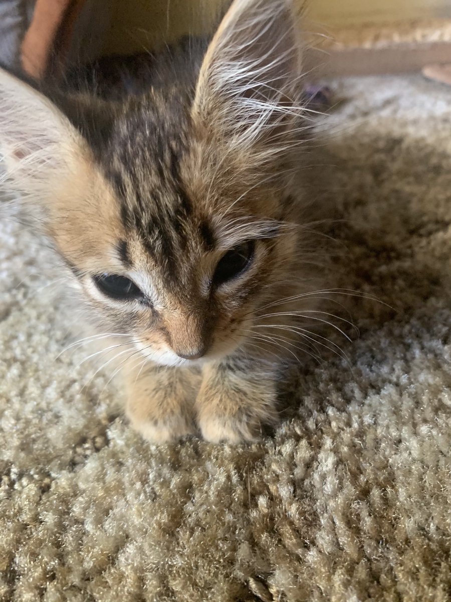 Iequynh's tweet photo. mimi said 🥺👉👈 https://t.co/yvstgf7cuR