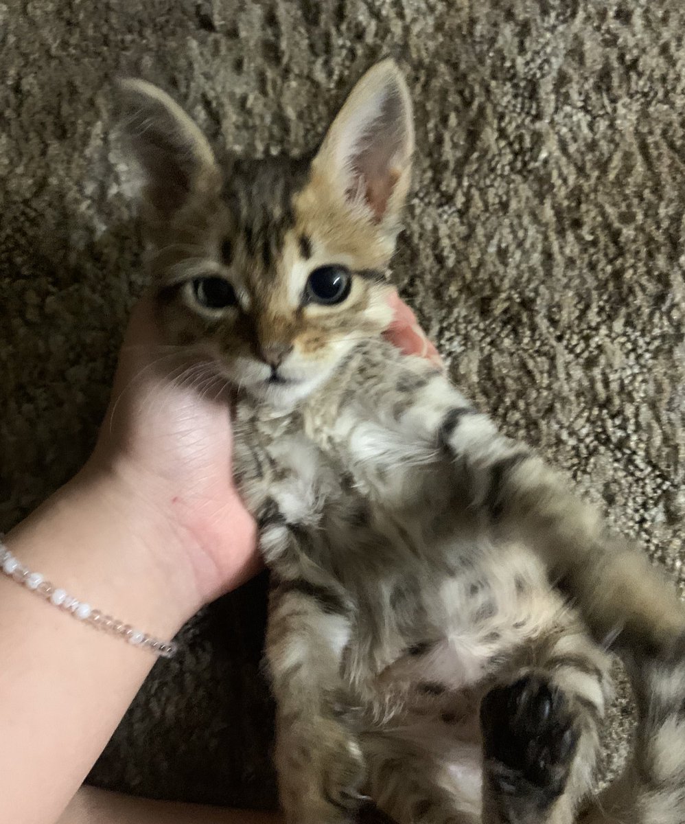 Iequynh's tweet photo. mimi said 🥺👉👈 https://t.co/yvstgf7cuR