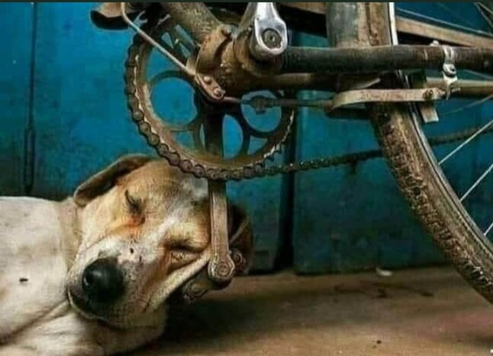 Devendr26009044's tweet photo. #_sundaythought
चाहे अपनों के लिए सारे संसार से लड़ लेना मगर कभी भी संसार की बातों में आकर अपनों से मत लड़ना क्योंकि संसार कभी साथ नही देता साथ हमेशा अपने ही देते है.!!
हर-हर महादेव 🚩
#_Jai yadav https://t.co/KbEWSspieB