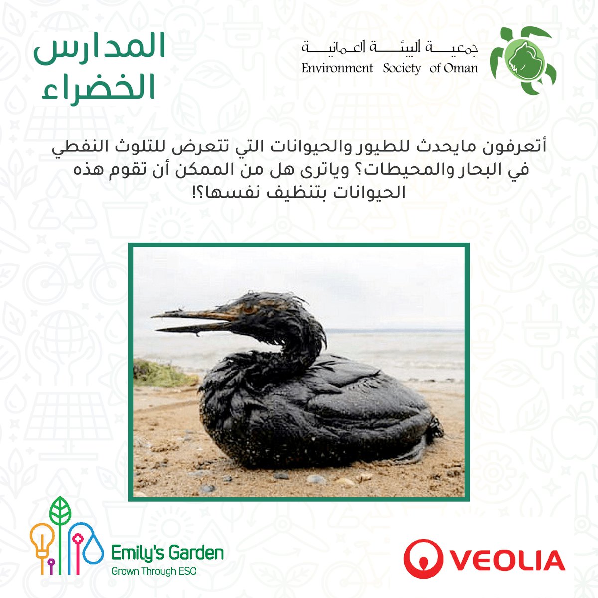 eso_oman_'s tweet photo. ينتظركم أسبوع آخر مليئ بالتجارب الجديده
تابعونا وابقوا معنا لمعرفة جواب السؤال ولتنفيذ تجربة تسرب النفط. بالإضافة إلى المزيد من التجارب المسلية الأخرى زوروا موقع المدارس الخضراء
https://t.co/0DzeqaFJh5
#المدارس_الخضراء https://t.co/xsV10MHzrM