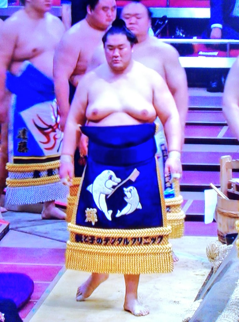 くみうす 輝関が新しい化粧まわし 輝関 輝大士 高田川部屋 七月場所