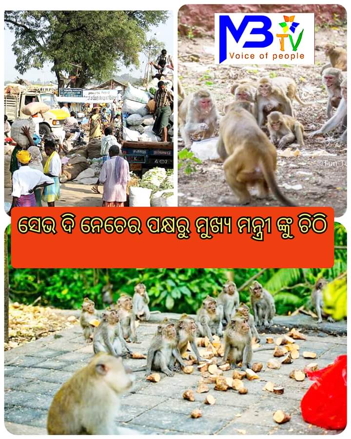 SaveTheNature18's tweet photo. ଚଷା ପୁଅ ଆଜି ହତାଶ ଏହା ଉପରେ ତୁରନ୍ତ ପଦକ୍ଷ ନିଆଯାଉ। @SecyChief @CMO_Odisha @pranabpdas @achyuta_samanta @SamirMohantyBJP @pcsarangi @dpradhanbjp @RDOdisha @ForestDeptt https://t.co/32VbRmpYIm