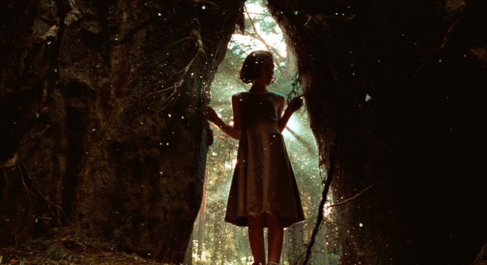 PAN'S LABYRINTH 

a Guillermo del Toro film photographed by Guillermo Navarro

2006