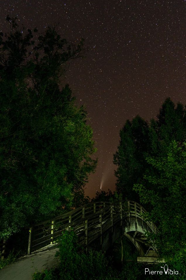 pierre_viala's tweet photo. La comète #NeowiseComet vue dans le #MaraisPoitevin depuis la passerelle en bois entre La Sotterie et Le Vanneau #Coulon #photo #ciel #astronomie #DeuxSevres #NouvelleAquitaine #exploveniseverte https://t.co/U6H0DAQGFs https://t.co/SRhcA8e1mC