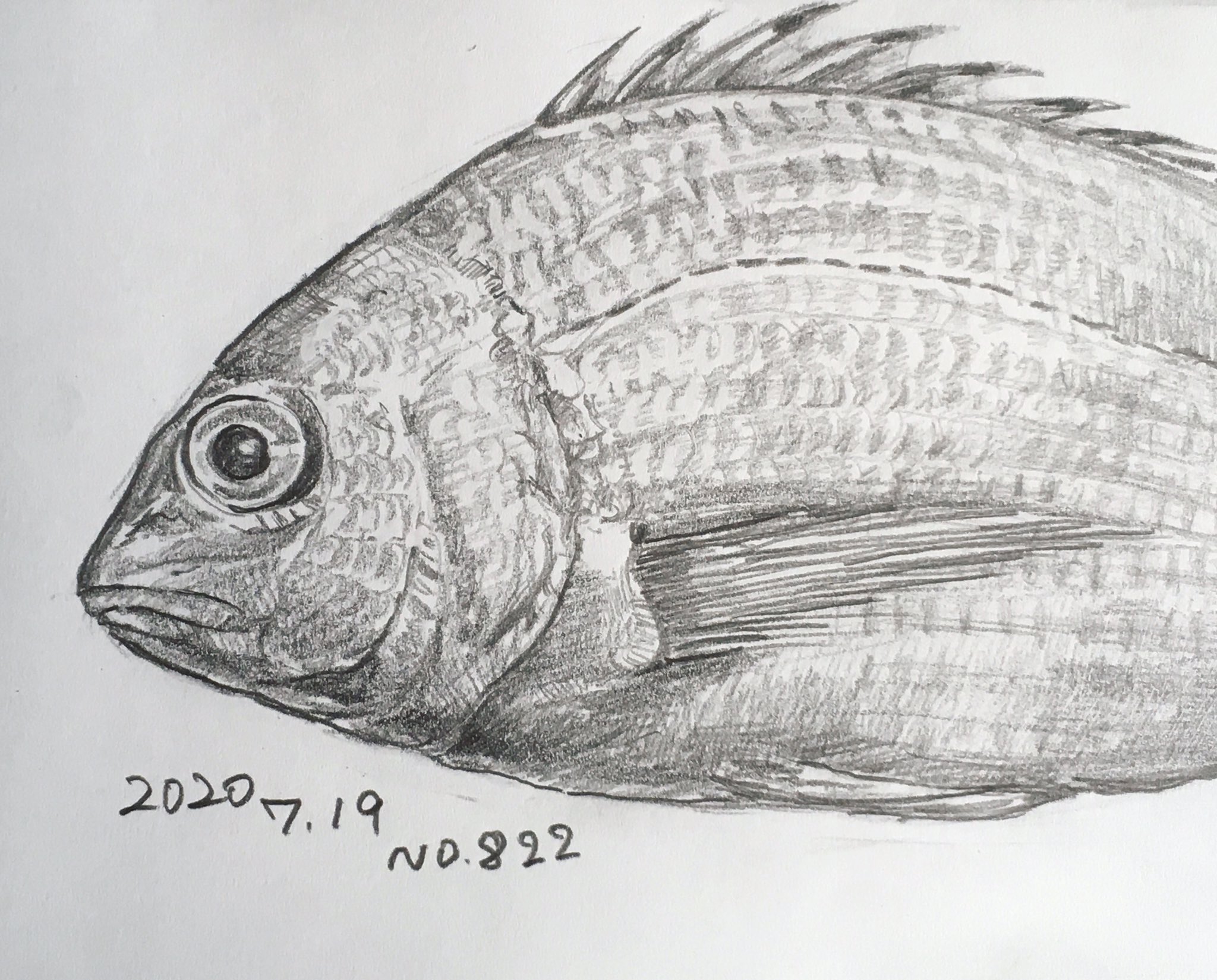 Blackporgy Twitter Search Twitter