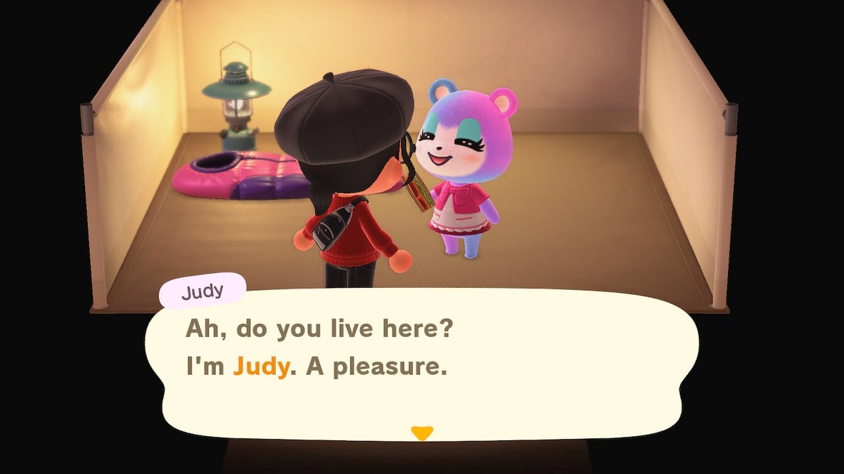 HiJessicaAnne's tweet photo. I must have the luckiest campsite - I've had all of these cuties visit (no amiibo!!), plus Raymond who isn't pictured!! #ACNH https://t.co/oYOD4ITsd2