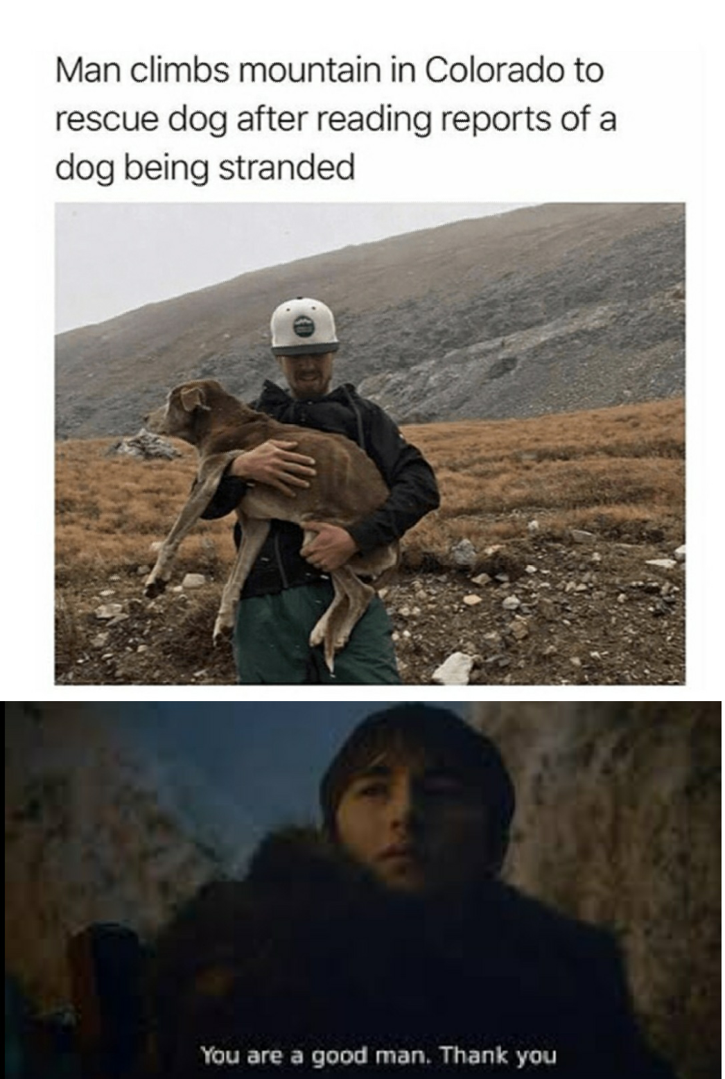 Memes That S What A Real Man Does T Co Dupsixkvq6 Twitter