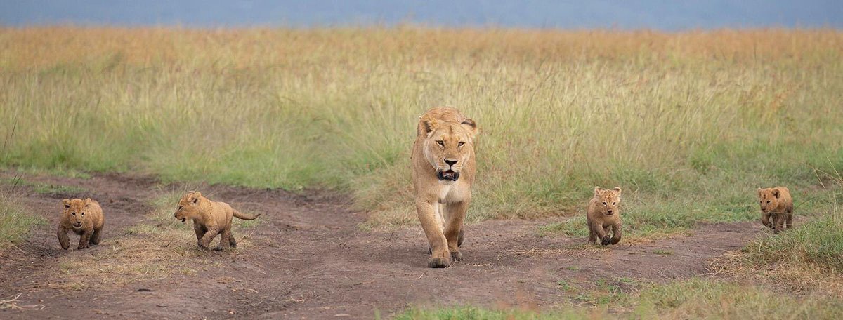 DPI League 2020 Rd 4, 15.06.20, Theme – Small is Beautiful – Zoom Class Winner: “Morning Exercise” by Ann Dickson