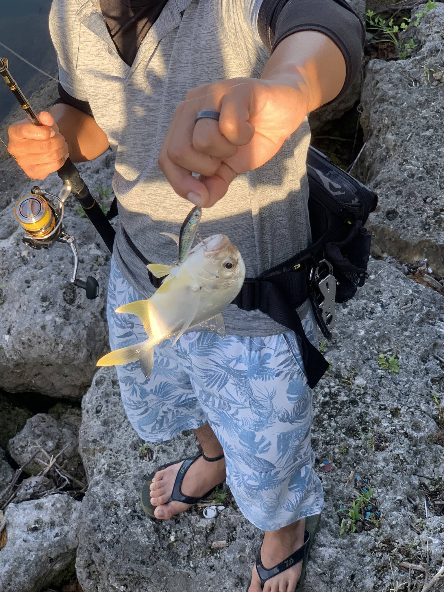 Retsuman 釣りなう 隣でやってる方がgt釣ってたwww 沖縄の河川 リバーgt ガーラ Gt 俺の釣った魚がおもちゃみたい T Co Talej1m6gd Twitter