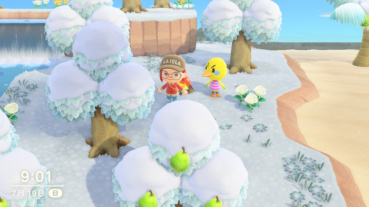 vi0531's tweet photo. #動物森友會 #AnimalCrossing #ACNH #NintendoSwitch https://t.co/uXSCuFZPcJ