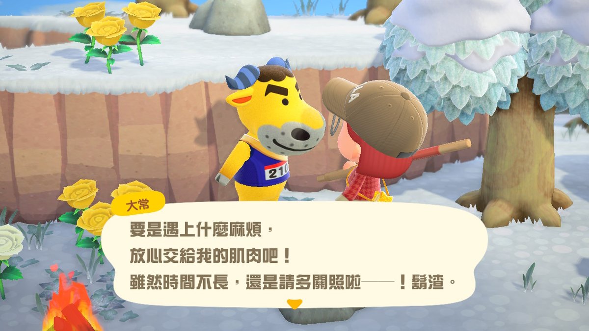 vi0531's tweet photo. #動物森友會 #AnimalCrossing #ACNH #NintendoSwitch https://t.co/uXSCuFZPcJ