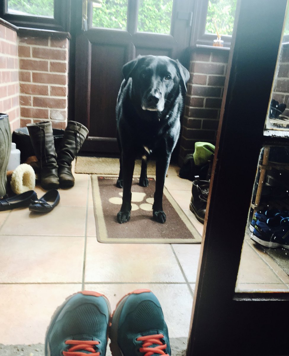 Someone’s ready for their #FarmRunner this morning even if it’s a bit soggy here in #Norfolk #mentalfitness #moveyourbody ⁦<a href="/FarmRunnerUK/">Farm Runner</a>⁩